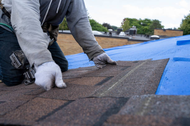 Best Roof Repair Services  in Luray, VA