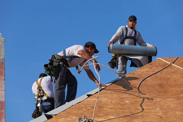 Best Local Roofing Companies  in Luray, VA