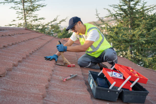 Best Roof Gutter Cleaning  in Luray, VA