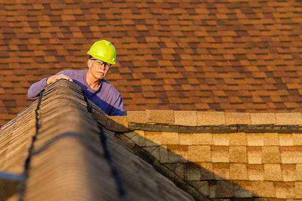 Best Roof Replacement Cost  in Luray, VA