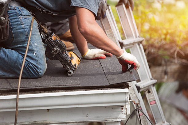 Best Roof Maintenance Services  in Luray, VA