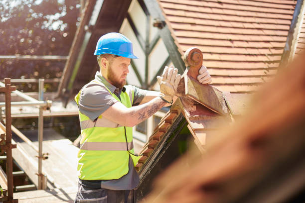 Best Roof Maintenance Services  in Luray, VA